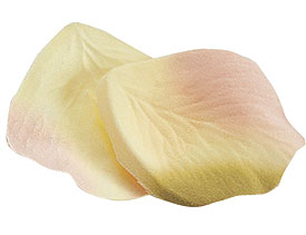 Blush Silk Rose Petals - Click Image to Close
